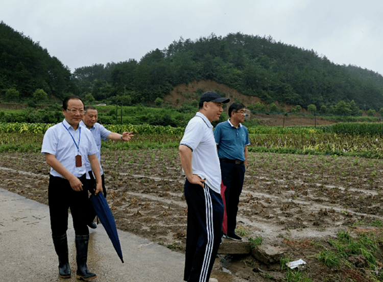 国元保险总裁殷寅赴铜陵池州黄山等地查看灾情并指导防汛救灾工作