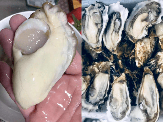 商家|《危险味道》的商家疯了！每人50瓶啤酒免费送！！