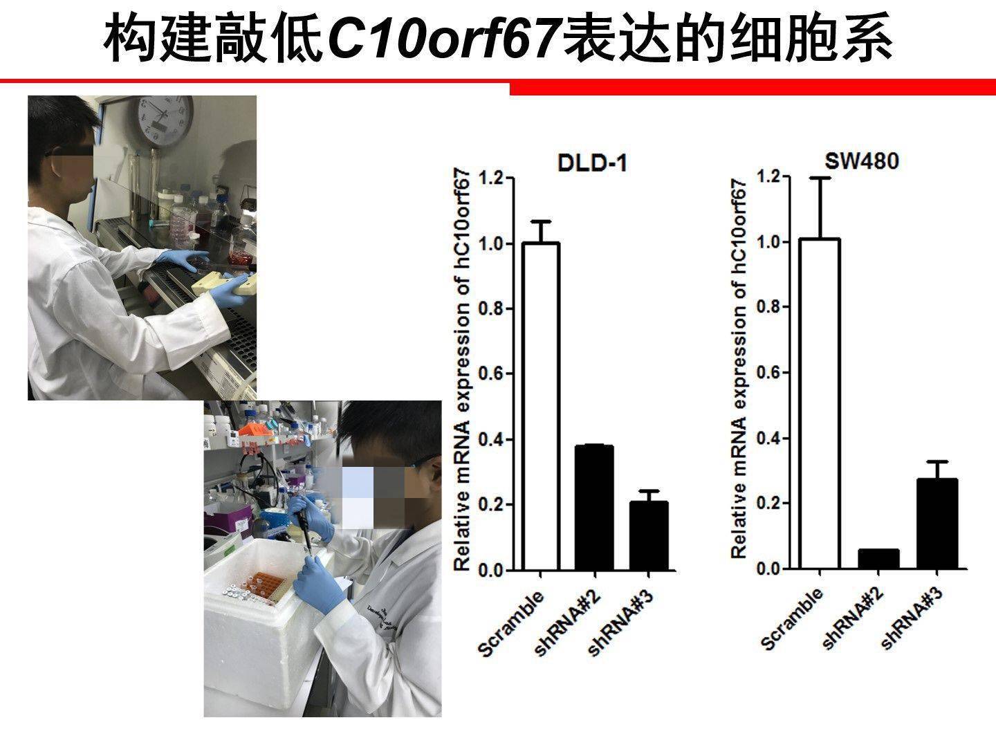 中科院昆明动物所回应小学生研究基因获奖：系研究员之子