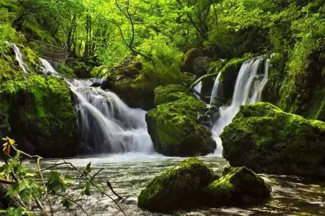 山谷里的小溪,夏日的清凉