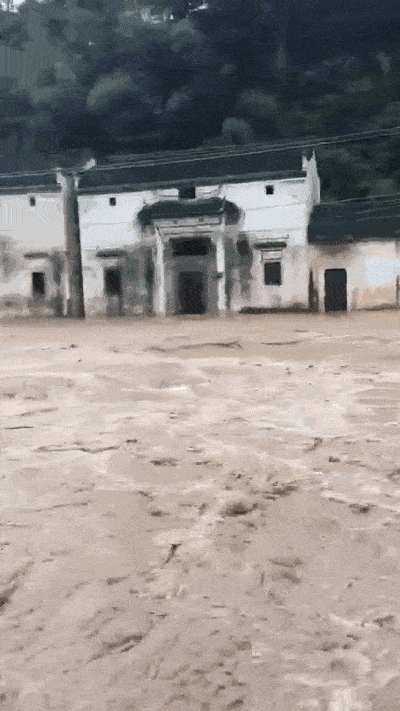 而落水的老父亲,曾经也是一名老警察,却消失在江水中下落不明.