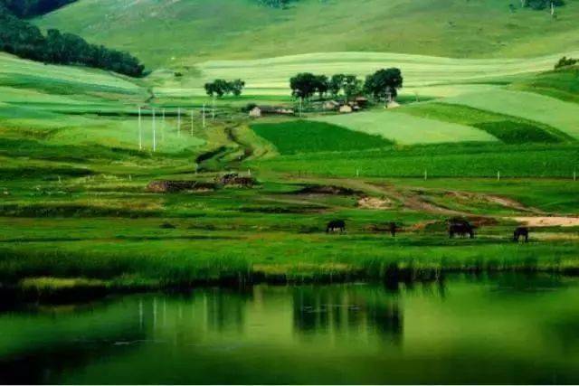 坝上仙境——京北第一草原