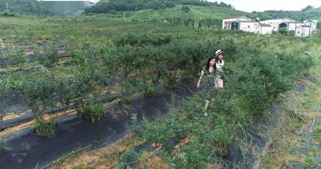 都匀|【么 不要太爽！】都匀人你克过这点没？特别适合......