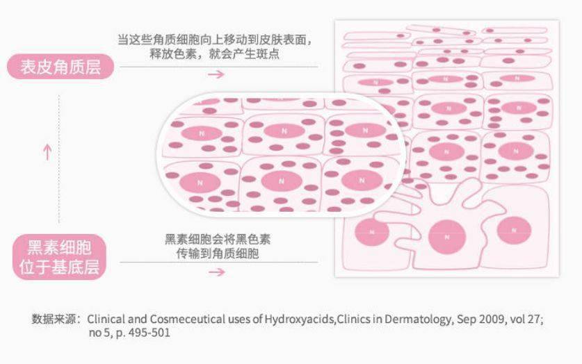 成分|晒斑和黑痘印,还能整一整吗?
