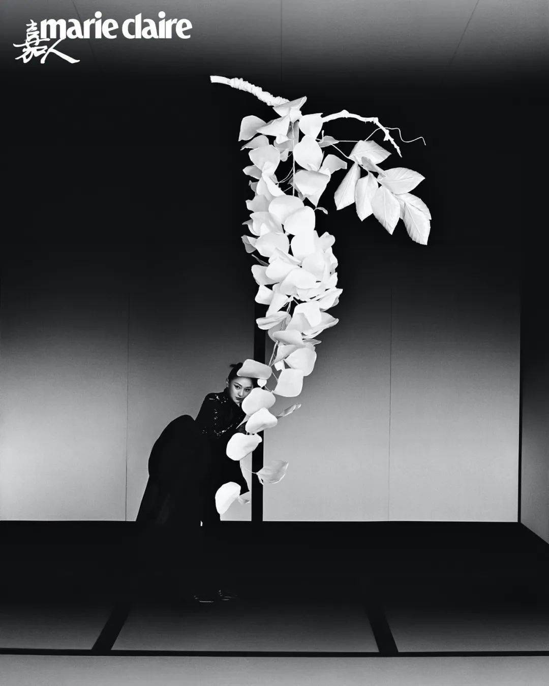 黑色|周迅 旁观｜嘉人封面