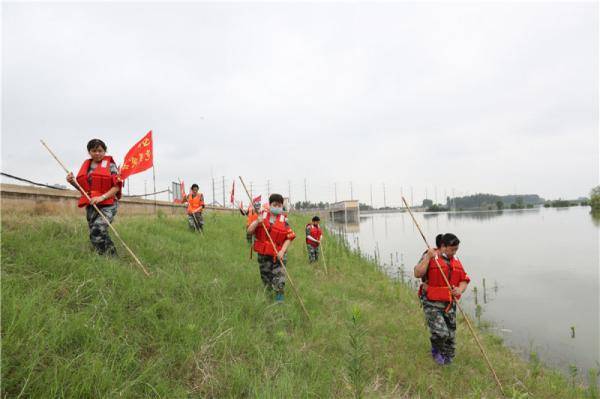 社区|武金堤上有群“乘风破浪的姐姐”