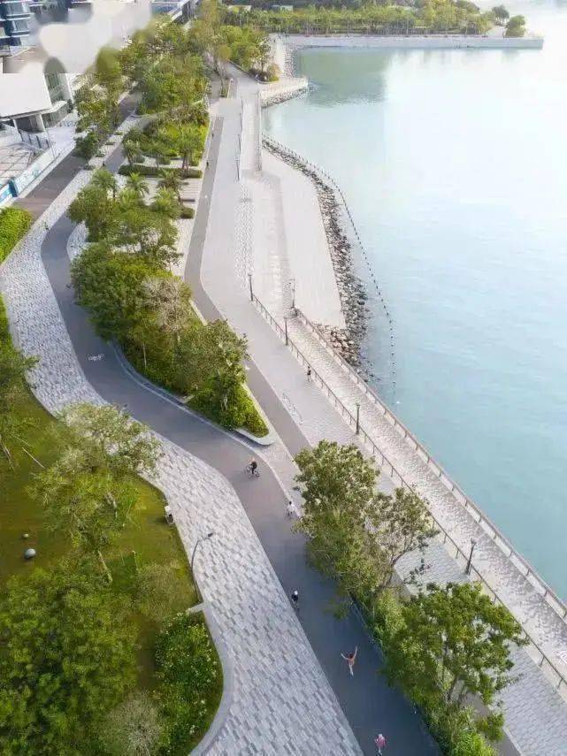 尚林苑滨水公共空间景观设计深圳湾蛇口滨海长廊
