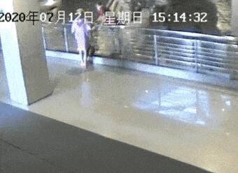 遗址|男子进雷峰塔拿走半块砖被处罚，称“看完还回去”