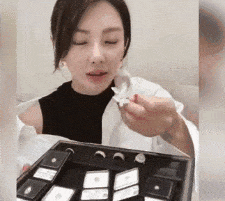 Birkin|张雨绮 爱马仕