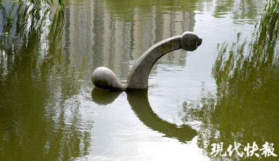 阳台|吓坏了！阳台夹缝发现十几只蝙蝠