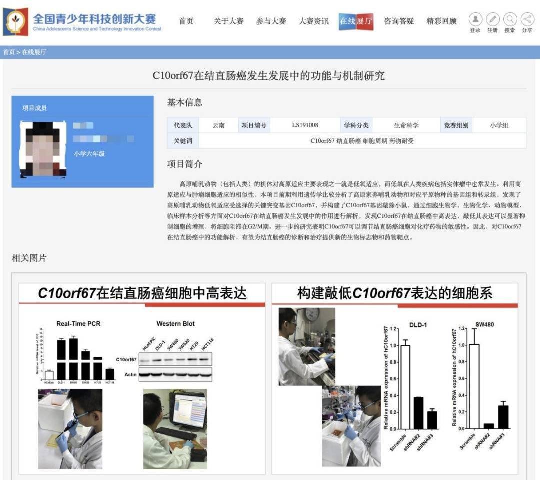 小学生研究癌症获奖大赛组委会：已成立专项调查组核查