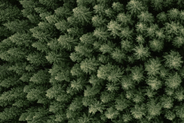 �����ӱ�ȥ���� | ��ʿ��ɽ�Ⱥ��Գ�Ϊ���ӱ��ȡ�