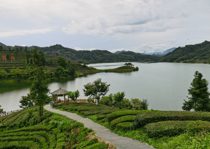 六安西茶谷雨后风光:远山如黛水似镜,茶园葱翠雨飘香