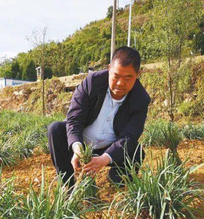 【关注】人民日报报道普定县"兵支书"杨守亮—誓把后进村带成先进村