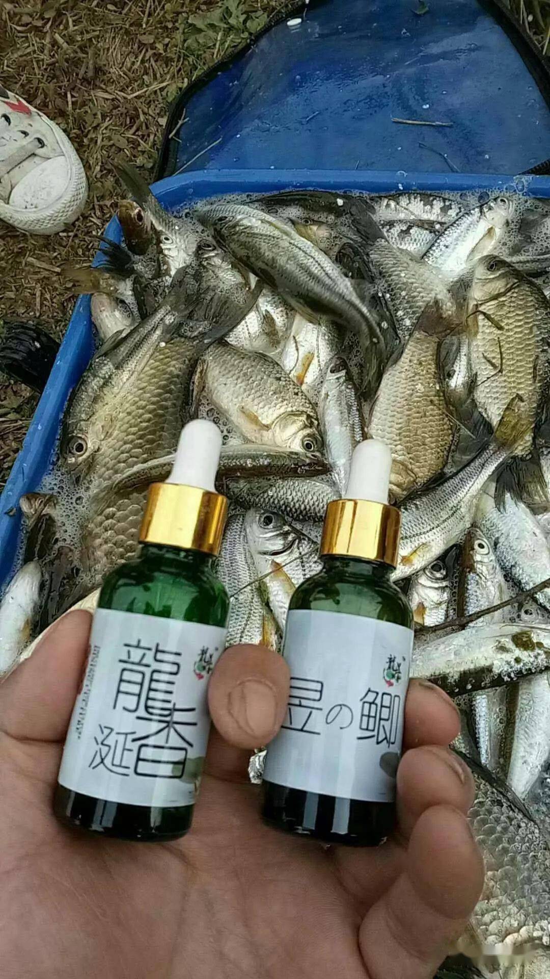 如何自己制作钓鱼小药 9eefe9817a9a48b9b34603280e81b6f1.jpeg