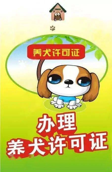 疫情期间管理养犬许可证~在家门口享受“一站式”服务“开云app官网下载入口”(图3)