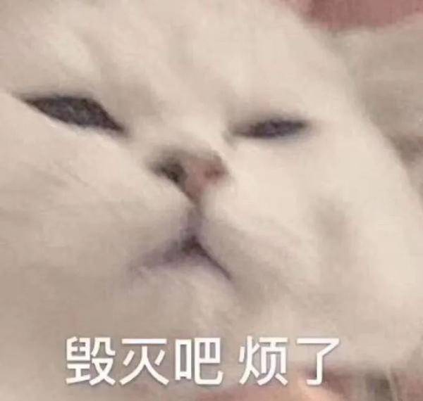 车辆|醉酒男子拉着代驾喝酒，却不是因为酒驾被抓……你懂我意思吗？