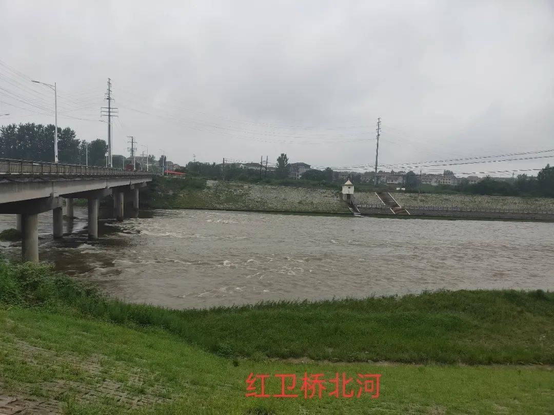 实拍:谷城南河北河湿地公园水情,河道堰塘水位增高