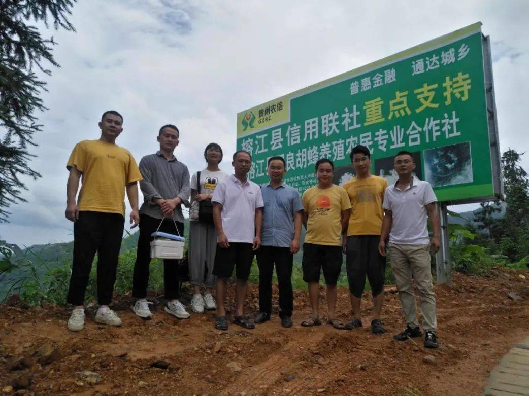 为榕江县胡蜂培育基地的发展出谋划策,为当地父老乡亲奔小康提供新的