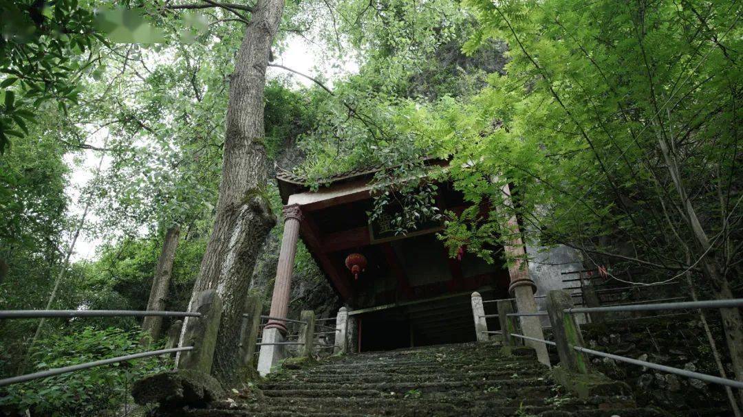 万市镇平山村有多少人口_大垌镇平山村村委