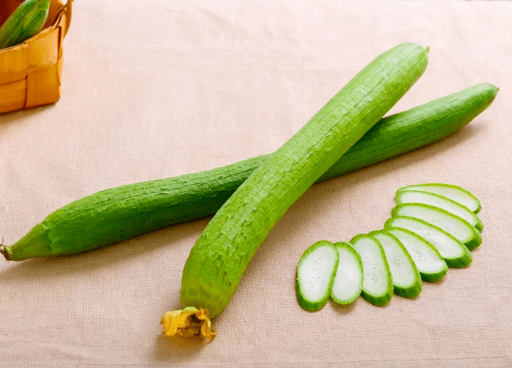 丝瓜的功效与作用图片大全 c70ef2d7743649b98d19ecad499d37d3.png