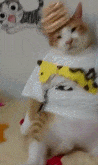 本文由【全球搞笑基地】原创编辑,欢迎评论及分享,图片素材来源于