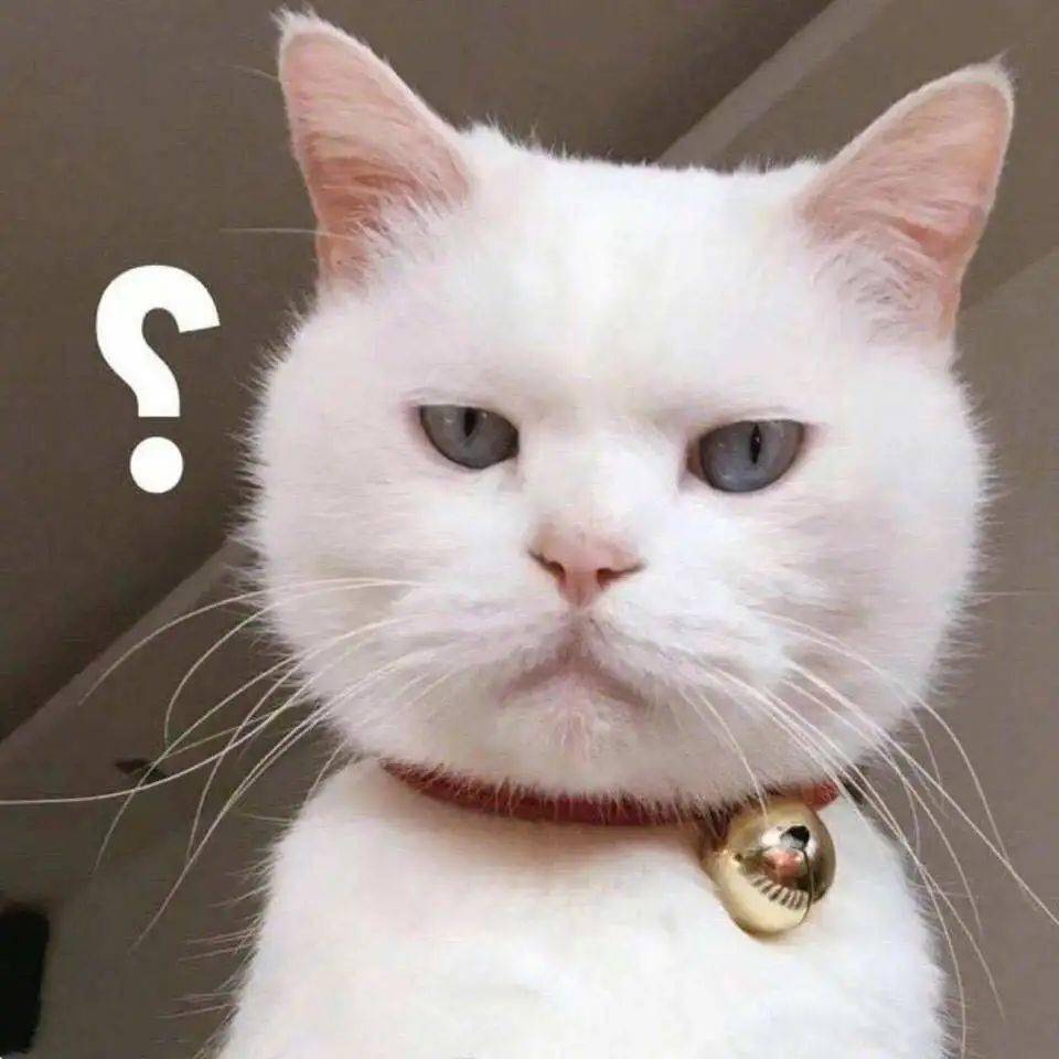 厦门|太危险！厦门3名大学生铁轨上摆拍，逼得火车急刹！