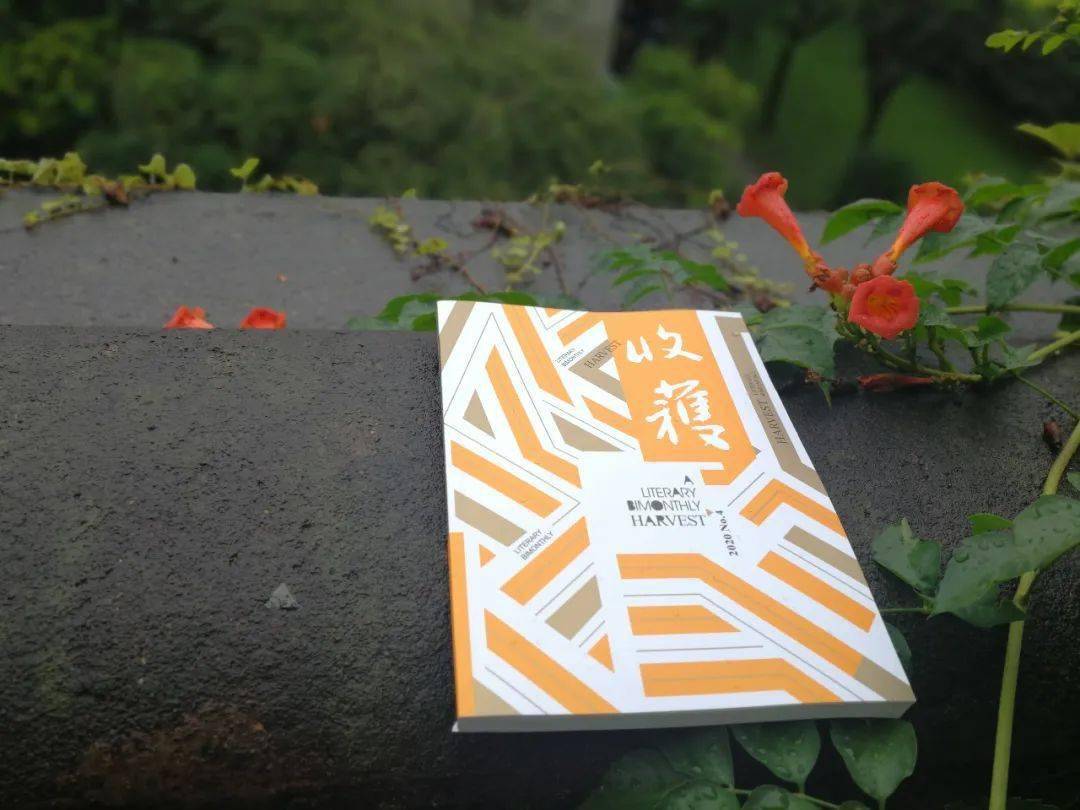 俞佩华|新刊 · 2020-4《收获》| 短篇：最后一天和另外的某一天（艾伟）