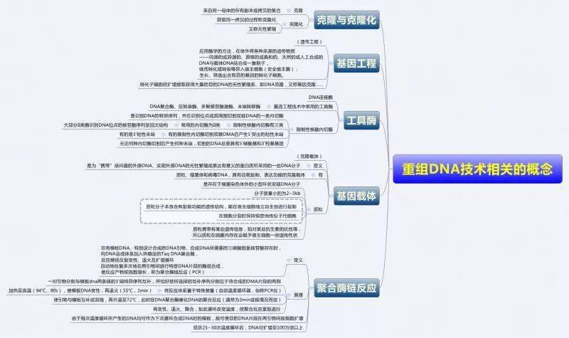 医学生必备生物化学思维导图