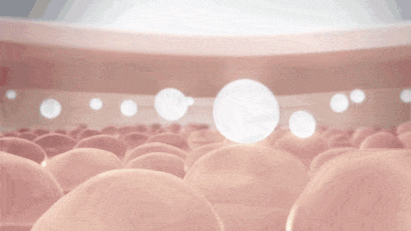 鲜肉|“少女脸”奶奶惊艳全球,61岁又泡到28岁鲜肉,网友:好狠,这女的!