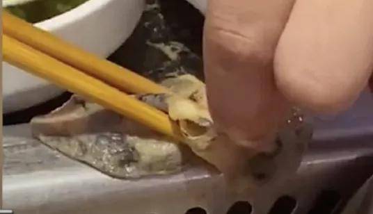 进行|火锅食材惊现塑料片！海底捞连夜道歉