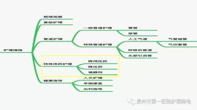 ppt思维导图多学科联合护理教学查房