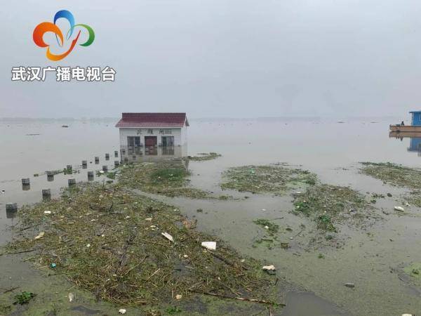 东西湖区|“七下八上”关键期，768名哨长上岗，驻守武汉1000多公里堤防