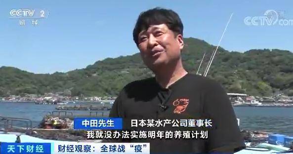 水产业|每公斤0.65元！这种日料店常见的鱼价格暴跌！吃货们急了