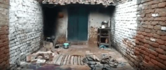 猴子|印度一群猴子深夜推倒屋墙 压死1名母亲和4个孩子