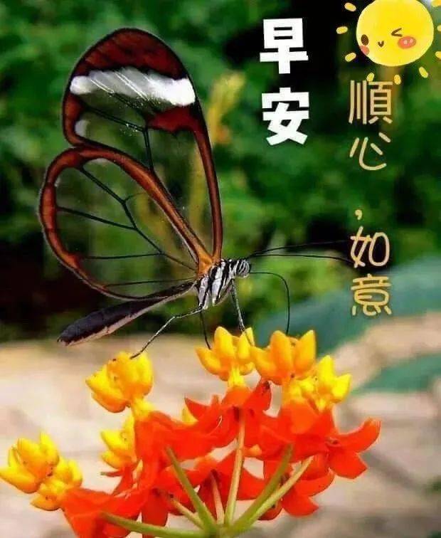 7月21日周二清晨早上好问候祝福动态表情图片 7月最新