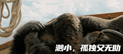 《多力特的奇幻冒险》神仙阵容大起底!