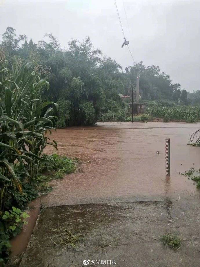 经济损失|汛情已致四川135万人受灾、21人死亡失踪