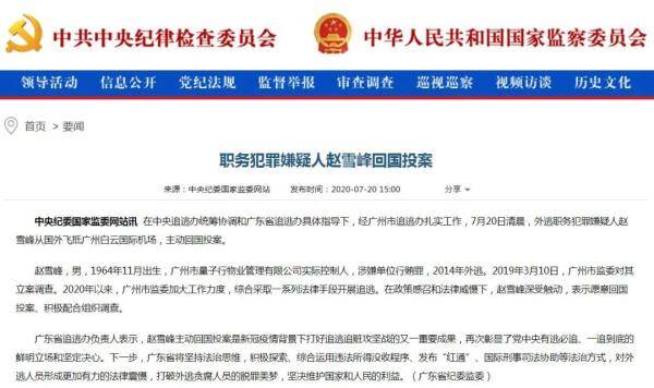 国家|回国投案，又一人！