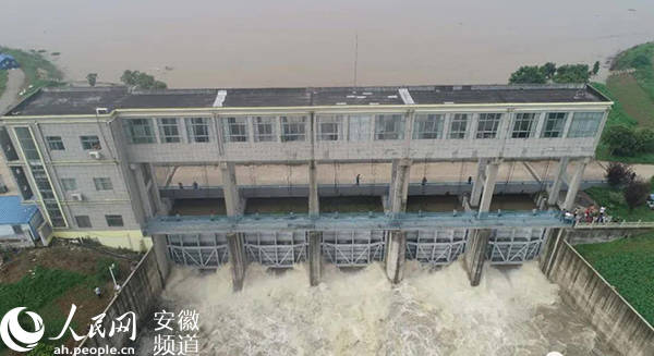 蓄洪|为保淮河下游安全，安徽颍上一日内启用三大行蓄洪区