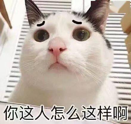 猫猫表情包第19期丨"我要偷偷放出点表情包出来,好让你知道我喜欢你"