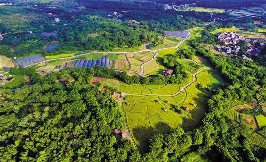 从化拟试行乡村规划师制度,每个镇街配1~2名乡村规划师!建设美丽乡村!