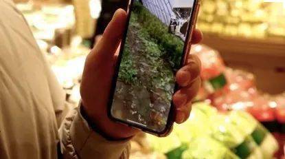 月销量|4小时卖出半个月销量！百年“老字号”，把办公室变成直播间！