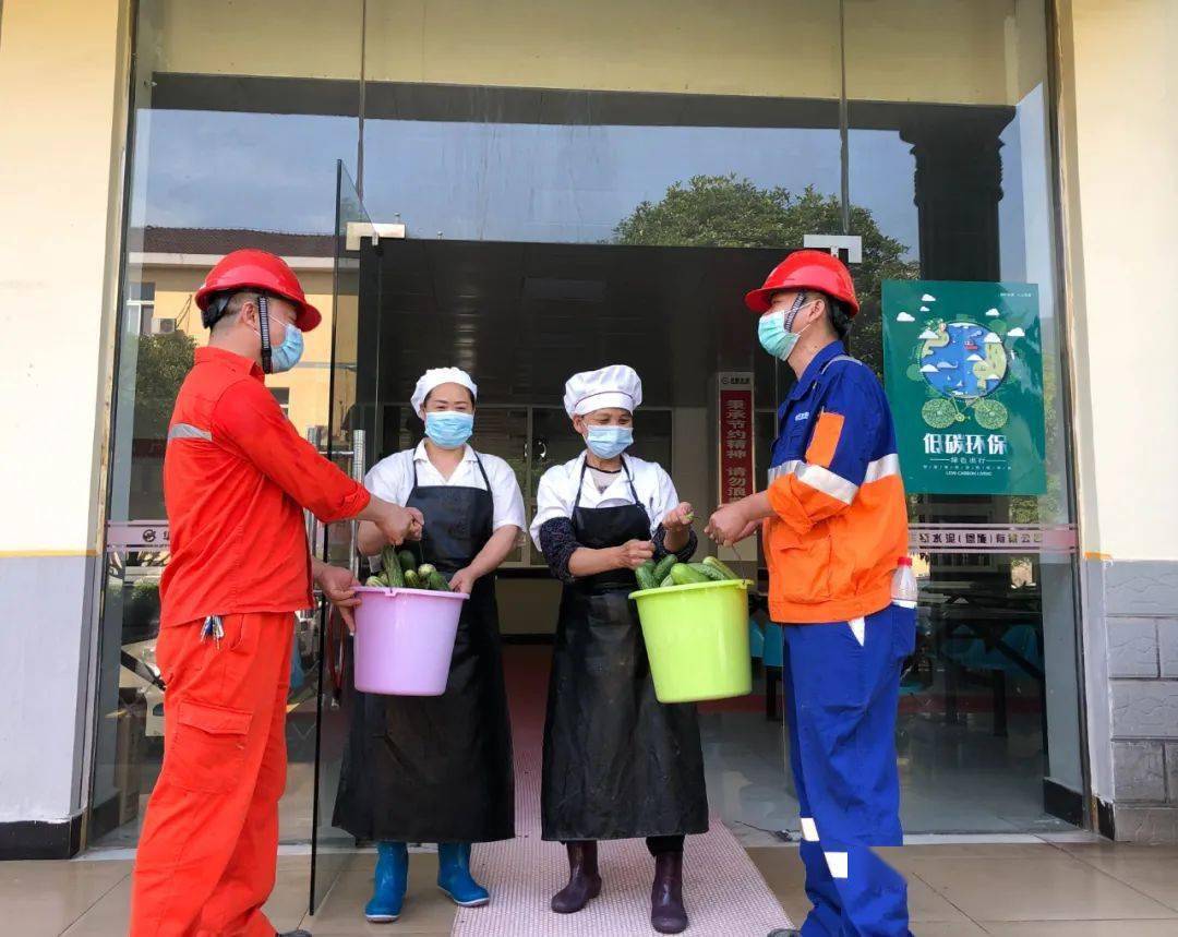 员工|到华新“开心农场”采摘去！大暑