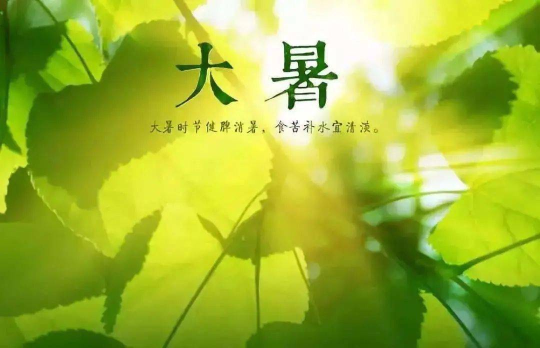 keylight全脑教育西安福田教学示范基地福田佳馨园大暑节气主题活动