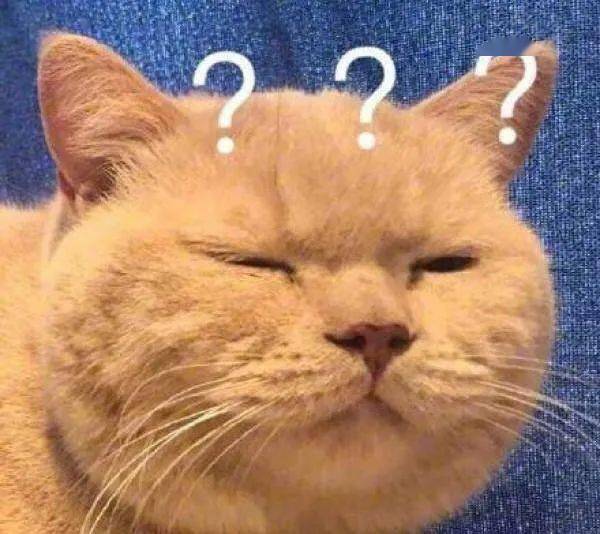 圆脸|果然，圆脸女生都太“假”了！