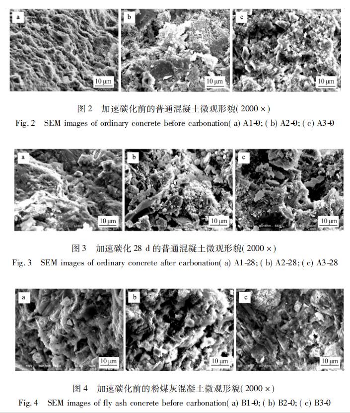图4,图5分别为未碳化和加速碳化28d的粉煤灰混凝土微观形貌.