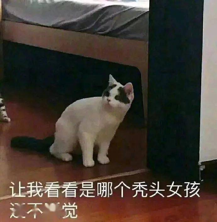 圆脸|果然，圆脸女生都太“假”了！