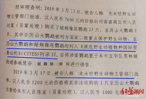 女友|大学生售卖2只鹦鹉一审获刑6年 女友：已上诉，希望二审能轻判