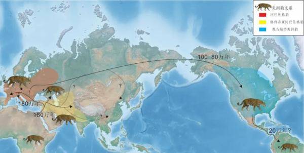化石|“美洲豹王朝”的200万年